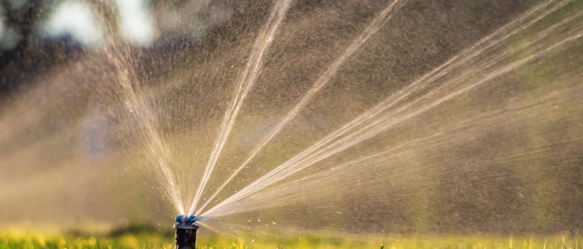Sprinkler