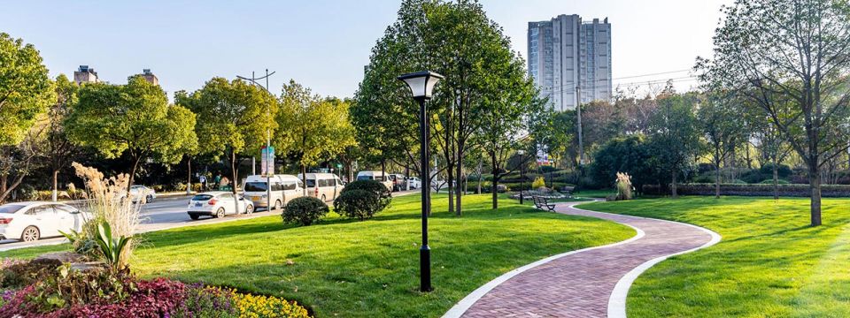 Park landscaping