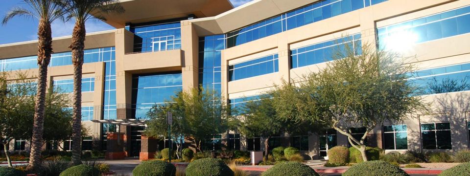 Commercial building landscape